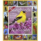 Audubon 365 Songbirds and Other Backyard Birds Picture-A-Day Calendar 2009 (Picture-A-Day Wall Calendars)