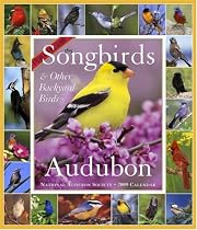 Audubon 365 Songbirds and Other Backyard Birds Picture-A-Day Calendar 2009 (Picture-A-Day Wall Calendars)