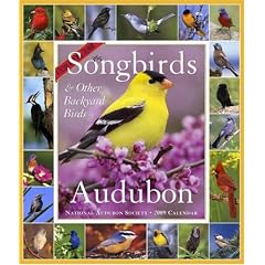 Audubon 365 Songbirds and Other Backyard Birds Picture-a-Day Calendar 2009 (Picture-A-Day Wall Calendars)