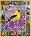 Audubon 365 Songbirds and Other Backyard Birds Picture-A-Day Calendar 2009 (Picture-A-Day Wall Calendars)