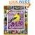 Audubon 365 Songbirds and Other Backyard Birds Picture-A-Day Calendar 2009 (Picture-A-Day Wall Calendars)