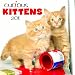 2011 Curious Kittens Calendar