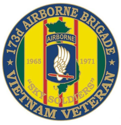 NEW 173rd Airborne Brigade Vietnam Veteran Pin - Ships in 24 hours