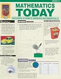 Mathematics Today, Grades 6-7