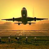 Your Flight In Their Hands