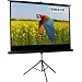 Celexon Stativ-Leinwand 184 x 104 cm 16:9