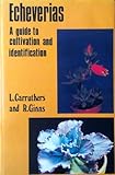 Echeverias : a guide to cultivation and identification