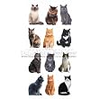Cat Stickers for Scrapbooking