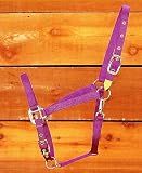 Hamilton Deluxe 3/4 Arabian Nylon Horse Halter with Adjustable Chin and Snap