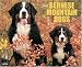 Just Bernese Mountain Dogs 2009 Wall Calendar