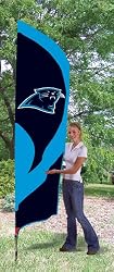 TTCP Panthers Tall Team Flag with pole