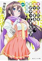 愛だ恋だを取り締まる俺に、春がやってきたので無秩序（カオス） 2