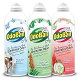ODOBAN Air Freshener Variety - 3 PACK