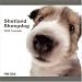   - Shetland Sheepdog (Sheltie) Dog 2009 Wall 12''x12'' Calendar by THE DOG Artlist Collection