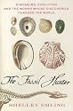 The Fossil Hunter (Macsci)