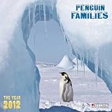 Produkt-Bild: Penguin Families 2012. Wonderful World