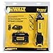 Dewalt DCF682N1A 8V Max Lith-ion 1/4 in. Cordless Gyroscopic Screwdriver in Retail Package