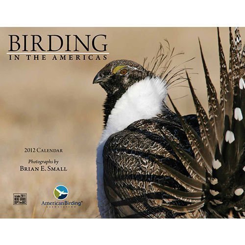 Birding in the Americas: Wall Calendar