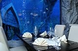 Dinner unter Wasser für 2 in Neuwied