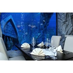 Dinner unter Wasser f&uuml;r 2 in Neuwied