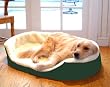 Small 23x18 Lounger Dog Pet Bed - Green