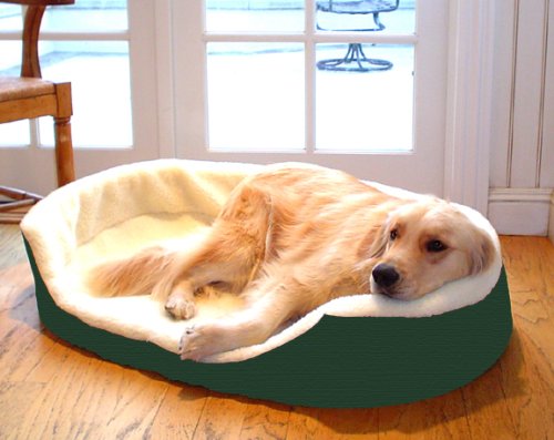 Childrens Toyshop  Pet Supplies : Medium 28x21 Lounger Dog Pet Bed - Green