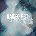 Raised Fist-Veil of Ignorance
