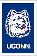 University of Connecticut Huskies Flag - Regular Size
