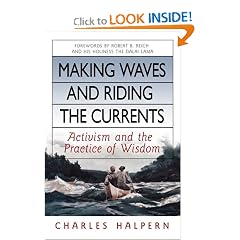 Making Waves and Riding the Currents: Activism and the Practice of Wisdom (BK Currents (Hardcover))