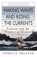 Making Waves and Riding the Currents: Activism and the Practice of Wisdom (BK Currents (Hardcover))
