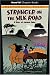 Books : Stranger on the Silk Road: A Story of Ancient China (Read-It! Chapter Books)