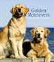 Golden Retrievers 2010 Weekly Engagement Calendar