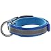 Pawtitas Lumberjack Padded Martingale Collar for Dogs | Soft Neoprene Dog Collar for Your pet's Comfort Made with Reflective Band for Maximum Visibility | Fits Small and Large Pets - Small Blue