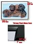 FRAMED RUTH KIMBERLIN 4 PUPPIES CUTE DOG POSTER FR 9641