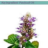 Detox, Dead Sea Bath Salts Will Give You The Replenishing Boost You've Been Craving With