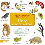 Mein erstes buntes Bildw�rterbuch: Tiere in Garten und Park - Julia Hofmann