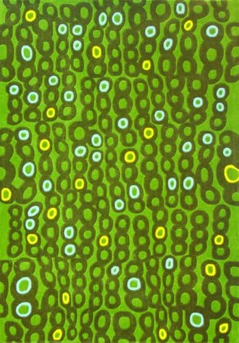 Foreign Accents Festival 2255-7'5"x9'6" Favriel Handtufted