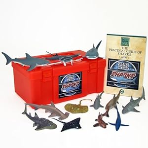 立体図鑑リアルフィギュアボックス シャーク（サメの仲間）