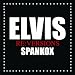 エルヴィス、イビザへ(ELVIS PRESLEY&rsquo;S FIRST REMIX ALBUM)