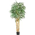 Weeping Ficus Tree 6ft