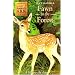 Animal Ark 21: Fawn in the Forest