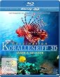 Faszination Korallenriff 3D - J�ger & Gejagte (3D Version inkl. 2D Version & 3D Lenticular Card) [3D Blu-ray]