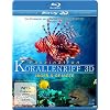 Faszination Korallenriff 3D - J�ger & Gejagte (3D Version inkl. 2D Version & 3D Lenticular Card) [3D Blu-ray]