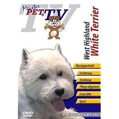 West Highland White Terrier