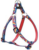 LupinePet Lollipop Step in Harness for Small Dogs, 12 to 18-Inch