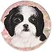 E&S Pets Black & White Puppy Cut Shih Tzu Coaster, 3
