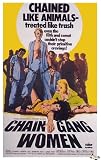 Review Danetre Gifts  / 7.5 x 5cm Fridge Magnet Movie Poster-Chain Gang Women 1971