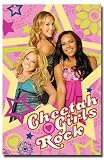 Cheetah Girls Rock (Group) Framed TV Poster Print - 24