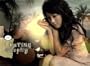 Dating Stephy Tang Collectible