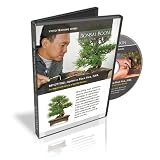 Bonsai Training Video. REPOTTING: Japanese Black Pine